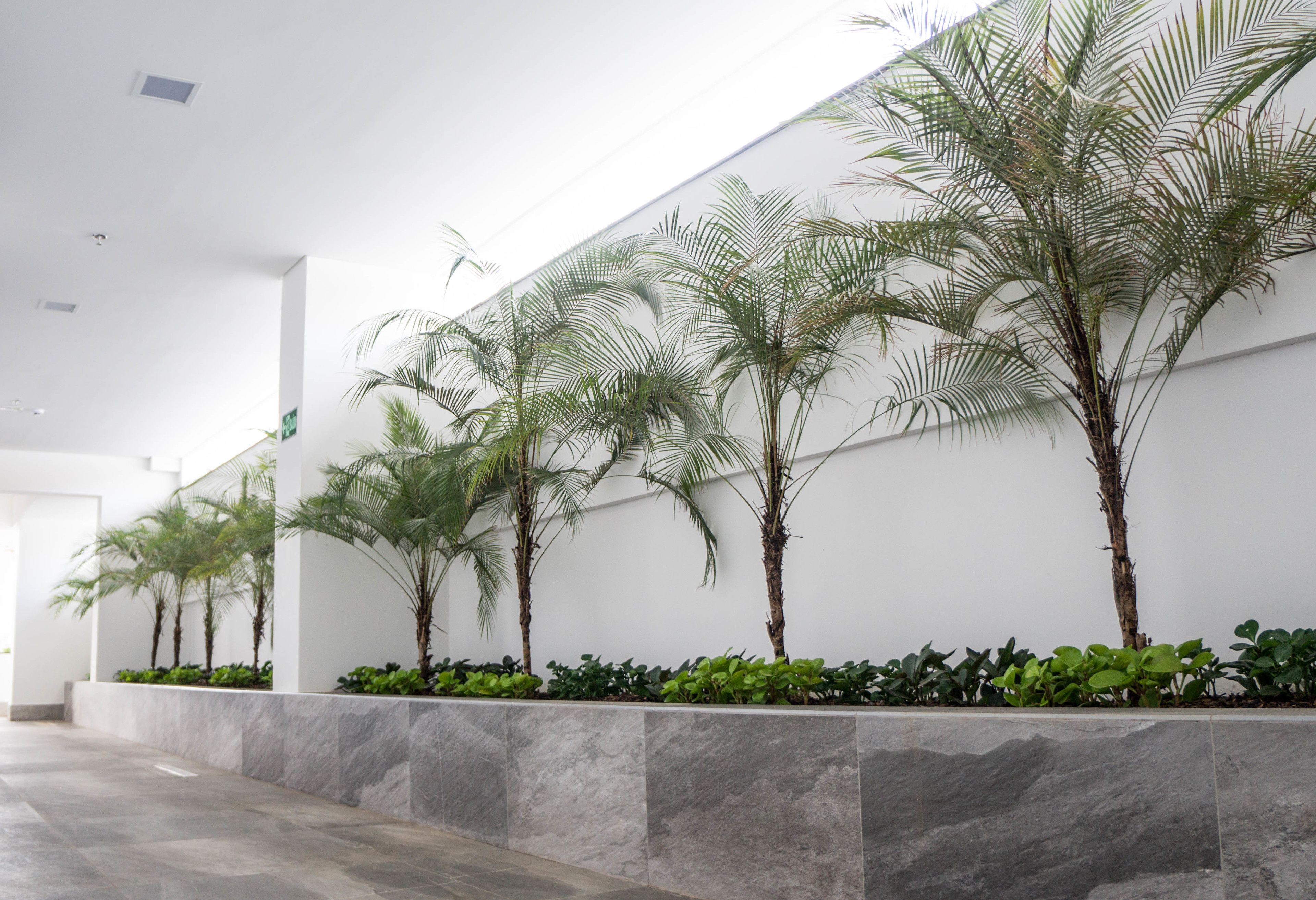 Servicio de la propiedad