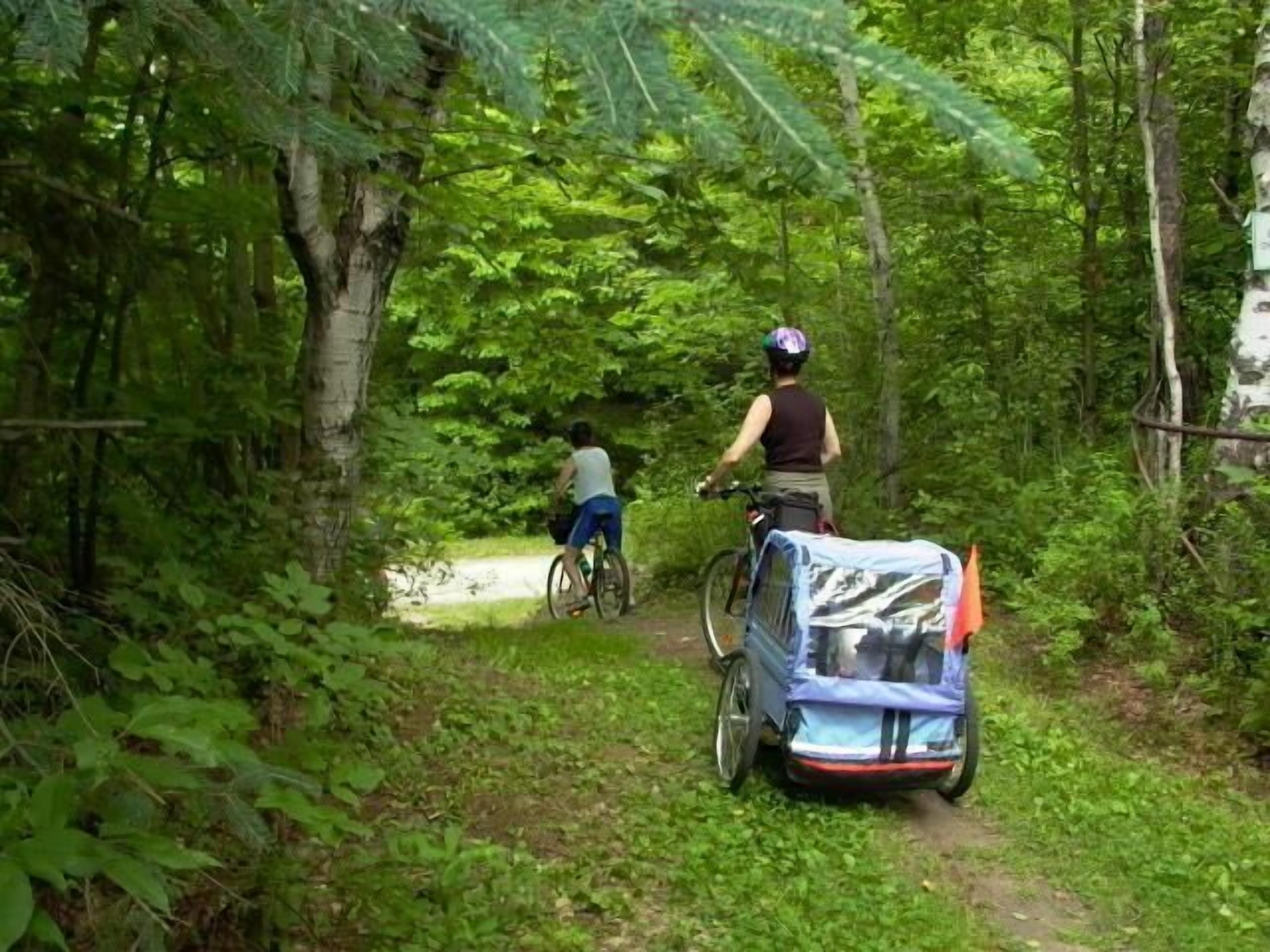 A narrow forest path with two cyclists and a small blue vehicle.