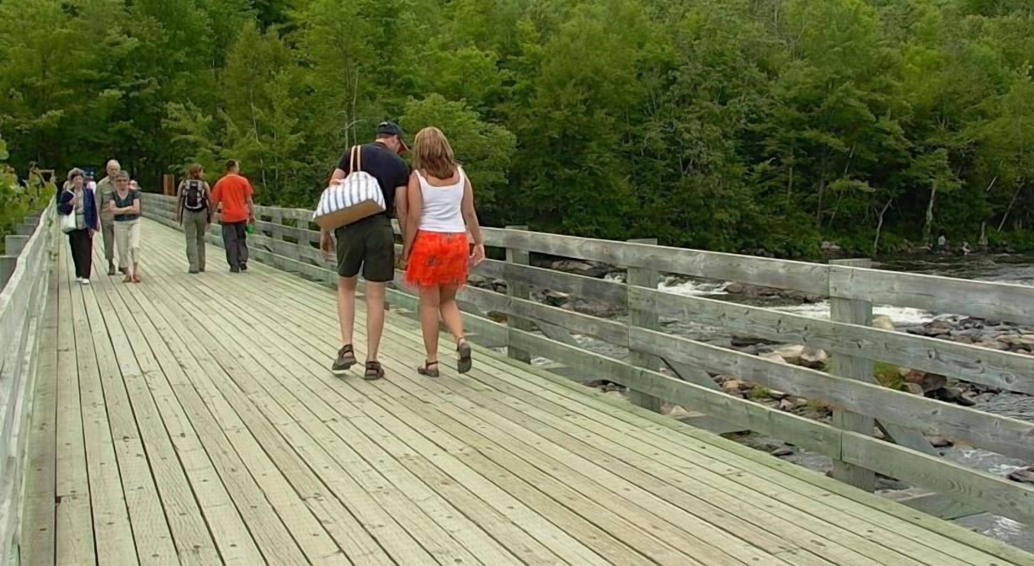 Un paseo marítimo de madera con barandilla, rodeado de árboles verdes y un río caudaloso.