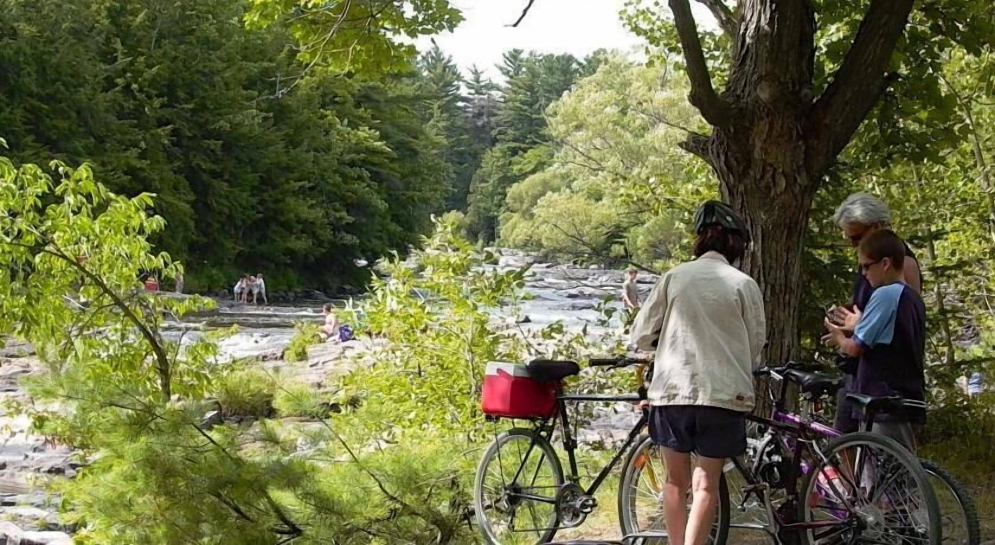 A natural setting with a rocky stream, trees, and people engaging in outdoor activities.