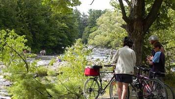 A natural setting with a rocky stream, trees, and people engaging in outdoor activities.