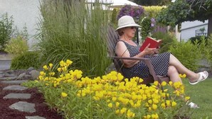Una persona sentada en un banco en un jardín con flores amarillas y follaje.