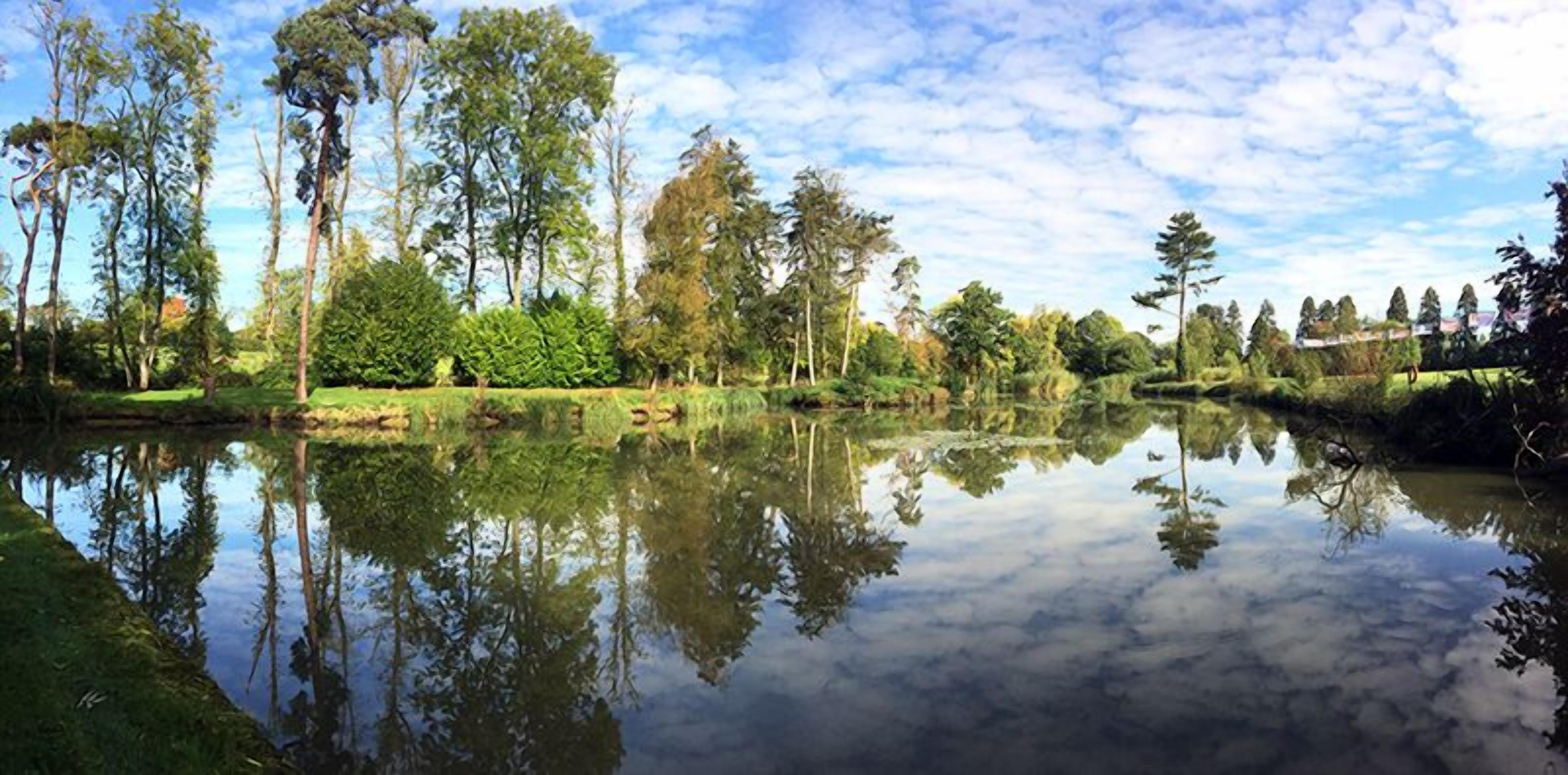 Un paysage paisible au bord d’un lac, avec le reflet des arbres et un ciel dégagé.