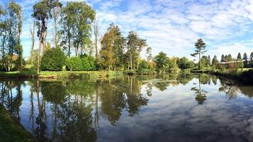Un paysage paisible au bord d’un lac, avec le reflet des arbres et un ciel dégagé.