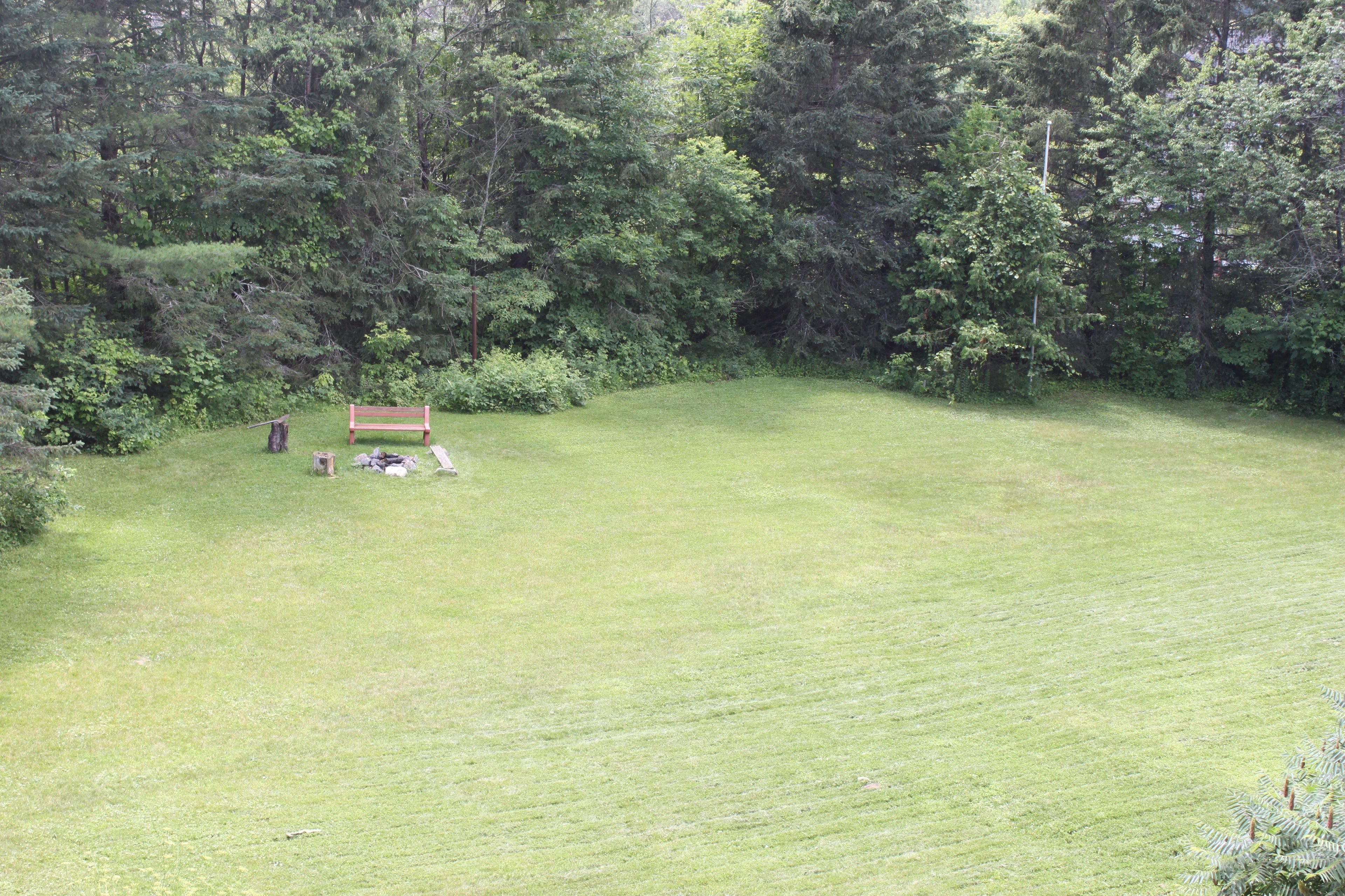 A grassy field with a bench and a picnic table.