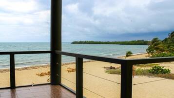 Beach/ocean view