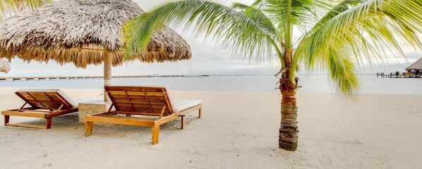 Apartment, 1 Bedroom | Beach | On the beach - Whaleshark Suite (Placencia)