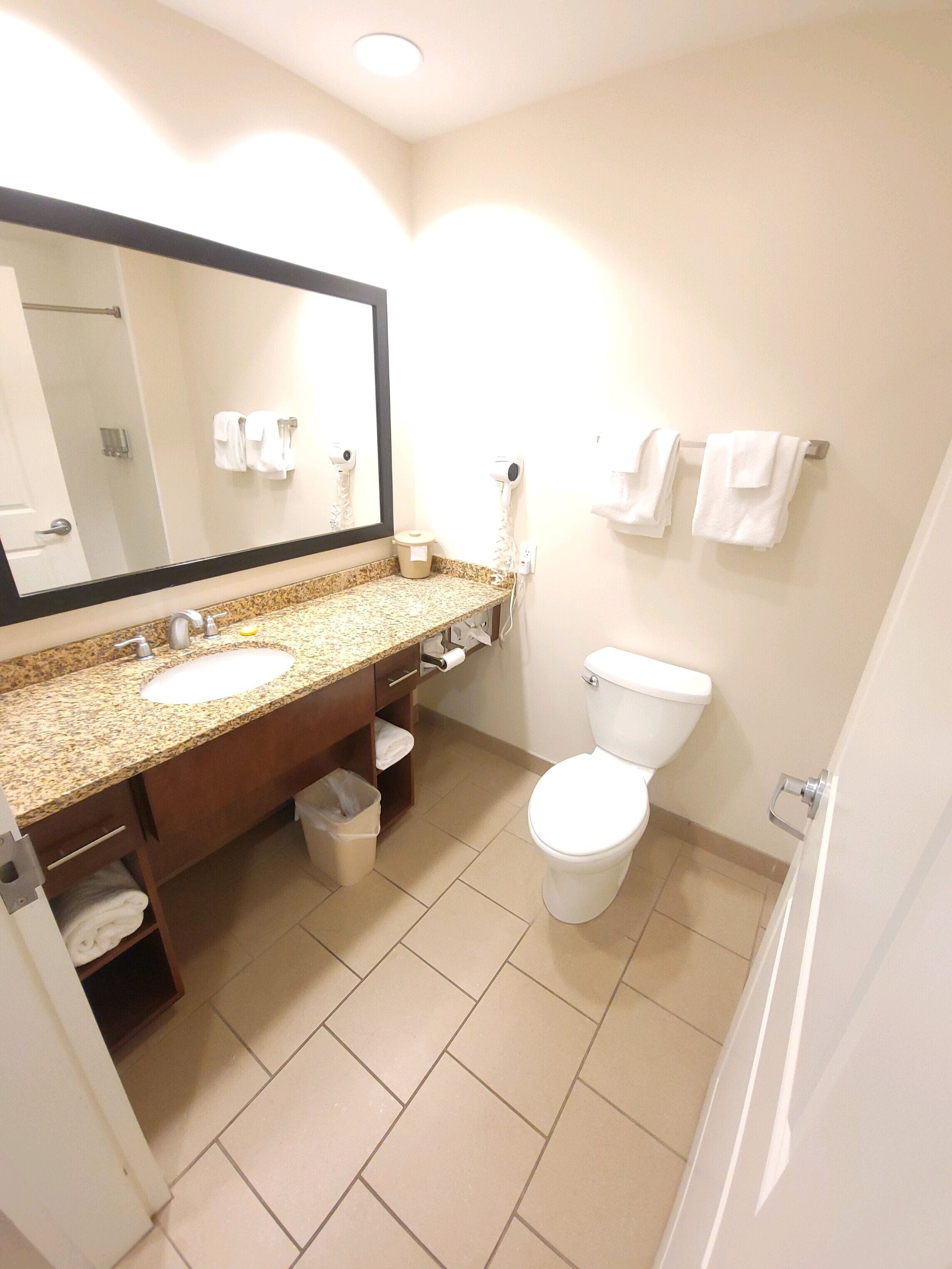 Bany d'hotel amb un lavabo de superfície de granit, un mirall, un vàter i una barra de tovalloles.
