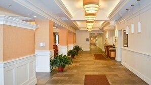 Pasillo de hotel con suelo de baldosas, plantas en macetas, un mostrador de recepción y una lámpara fijada a la pared.