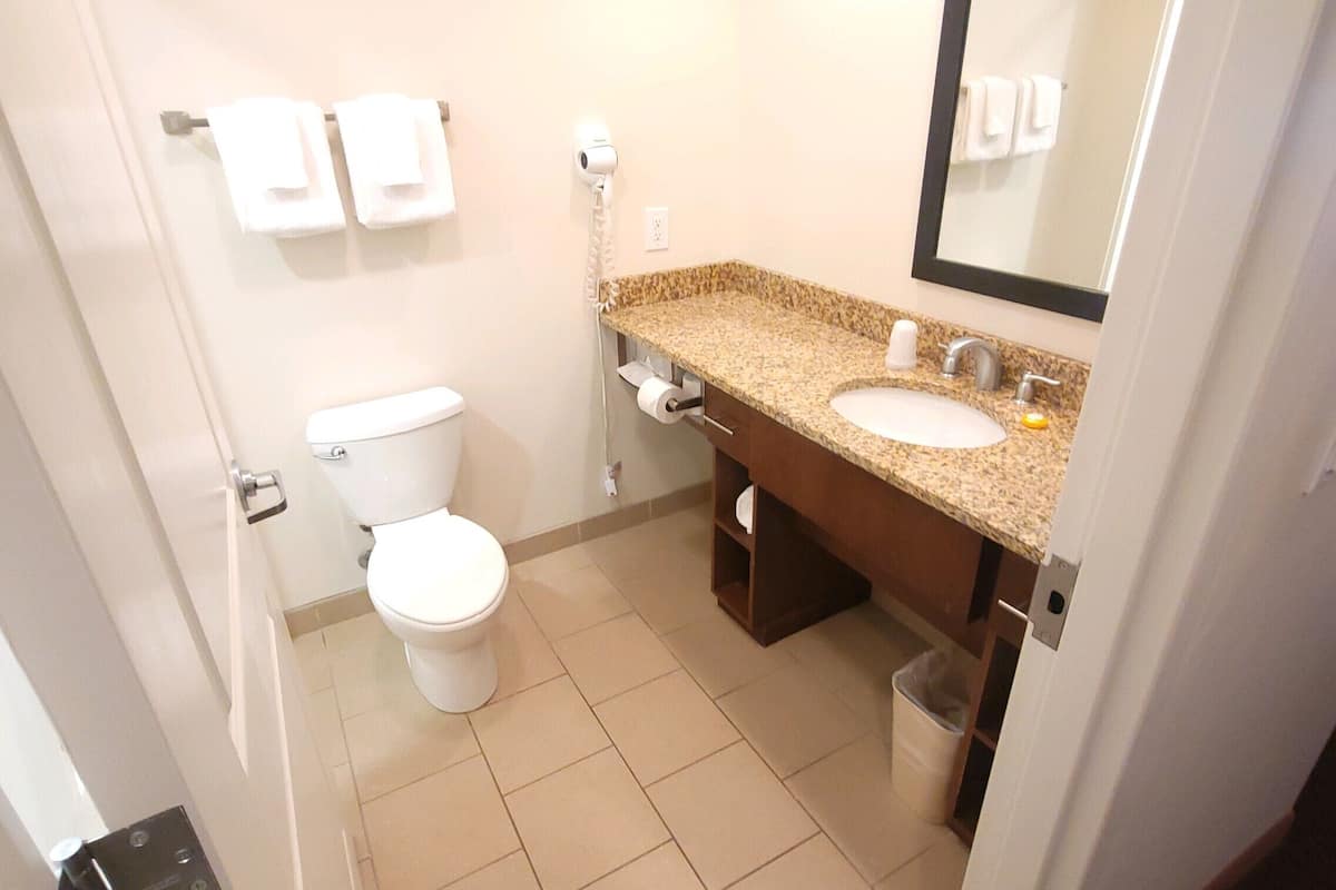 1 king bed | bathroom | combined shower/bathtub, free toiletries, hair dryer, towels