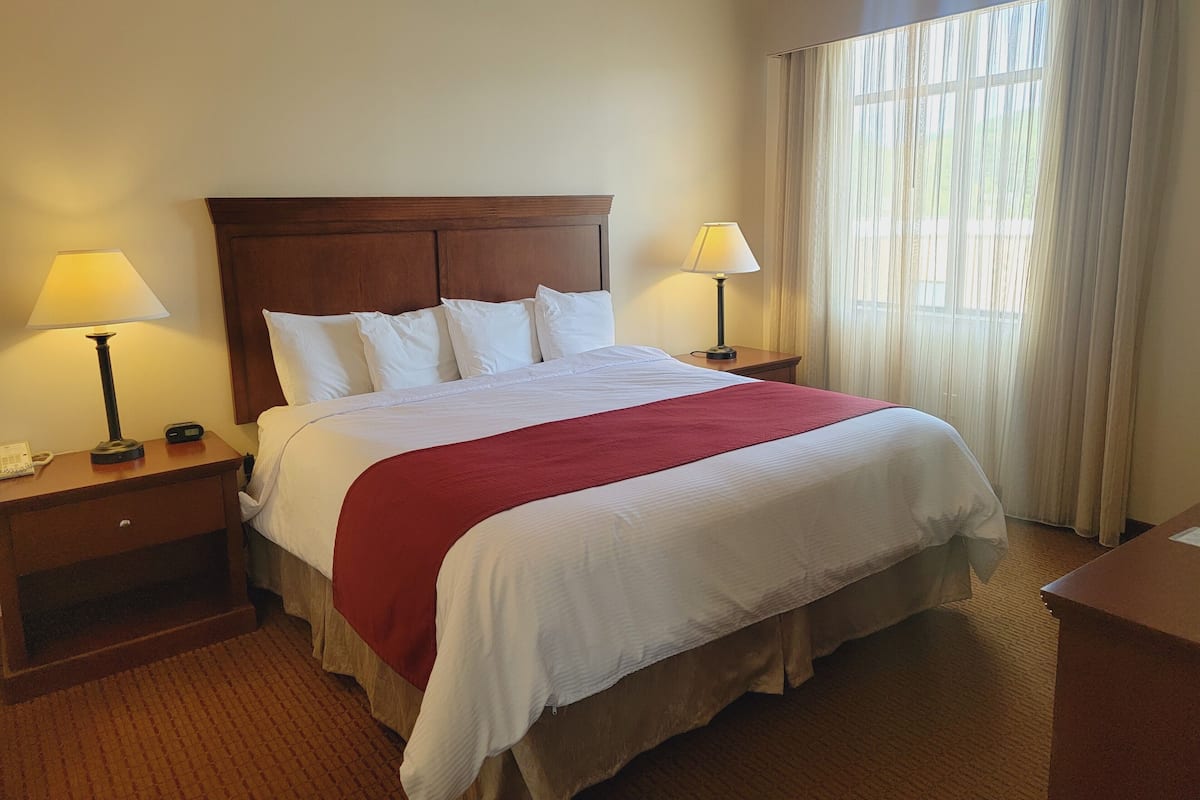 Suite, 1 King Bed Hearing Accessible | Bàn, khu vực làm việc phù hợp cho laptop 
