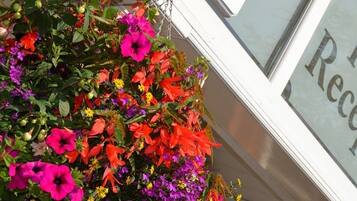 A hotel reception sign with a hanging flower basket beside it.