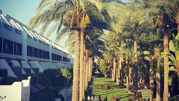 Ropa de cama de alta calidad, minibar y tabla de planchar con plancha