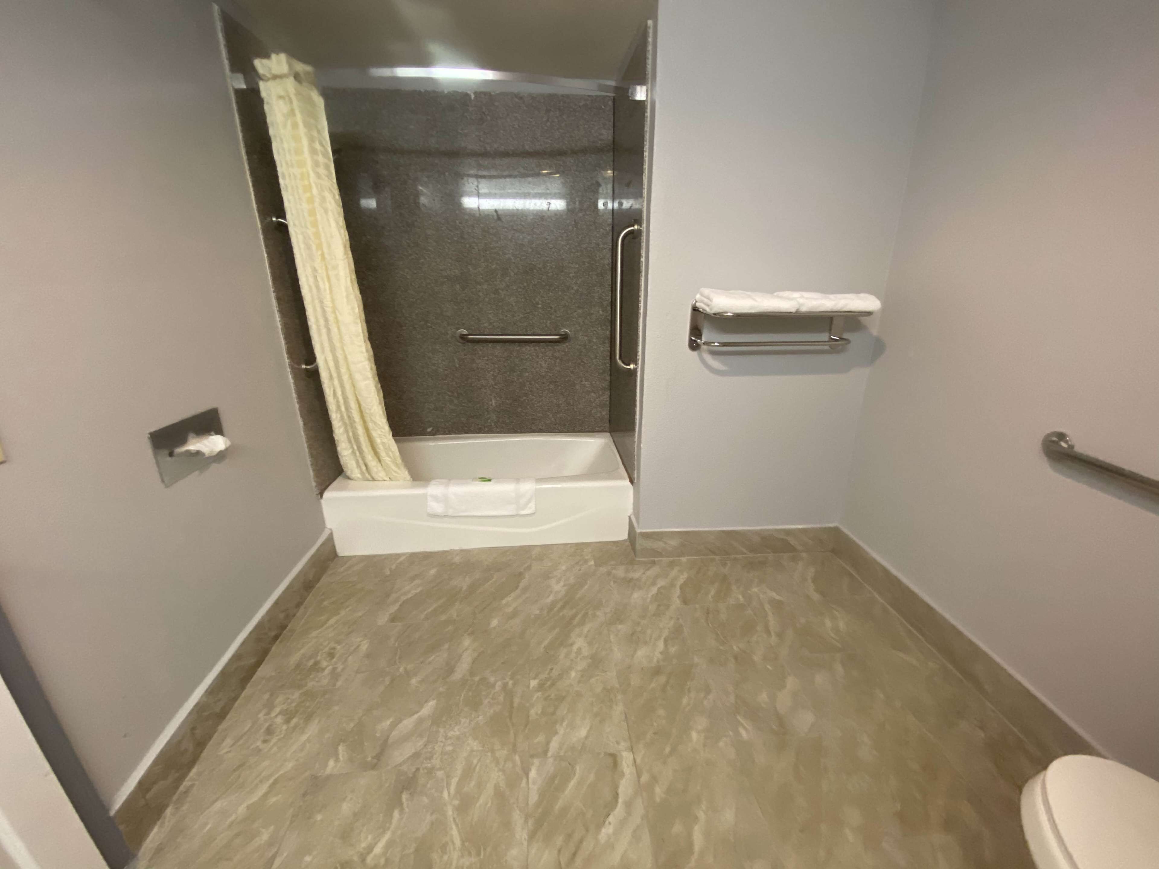 suite, 1 king bed, accessible, bathtub | bathroom | free toiletries, hair dryer, towels, soap