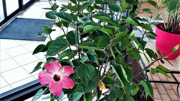 接待處
