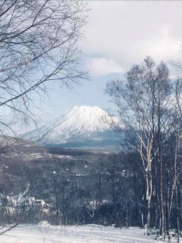 施設からの眺望