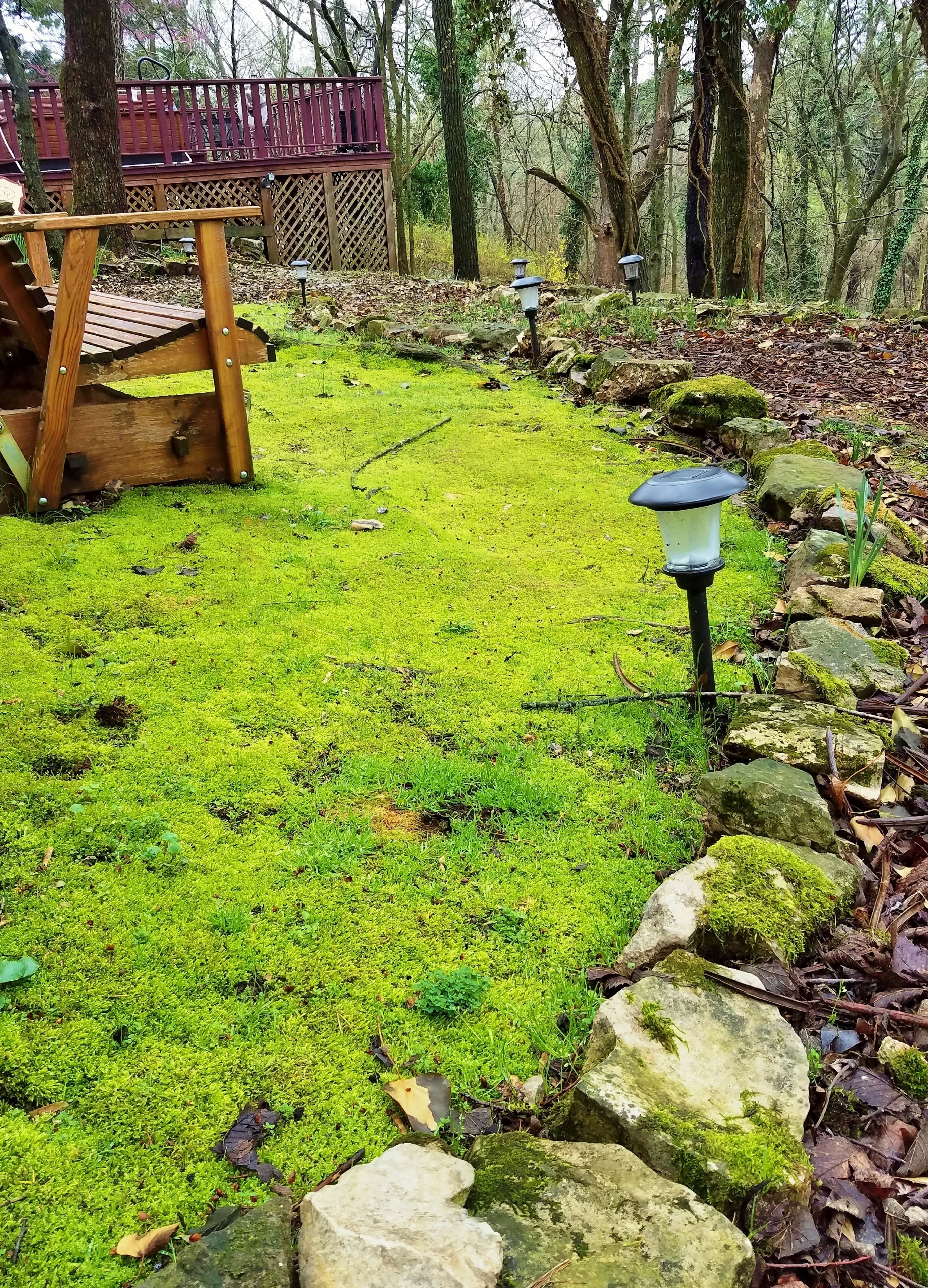 Une terrasse en bois avec une clôture en treillis, entourée d’une pelouse couverte de mousse et de rochers.