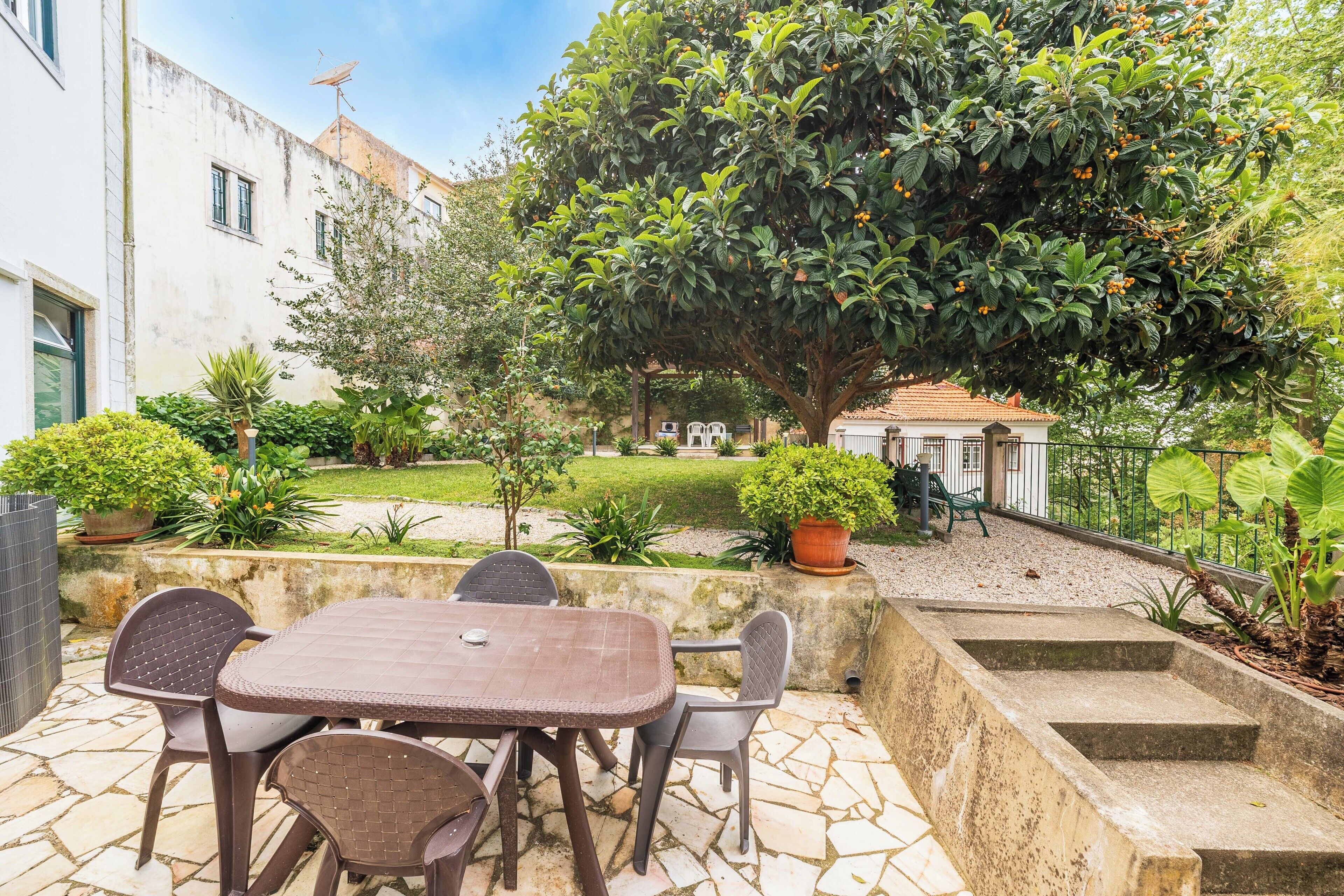 Eine Terrasse mit Tisch und Stühlen, umgeben von Kübelpflanzen und einem großen Baum.