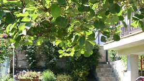 A garden with a variety of plants and a staircase leading to a balcony. - Alojamientos Acá y Allá - Hostel (Esteribar)