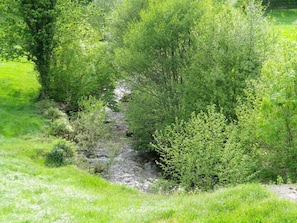 A natural landscape with a grassy area, a small stream, and dense shrubbery. - Alojamientos Acá y Allá - Hostel (Esteribar)