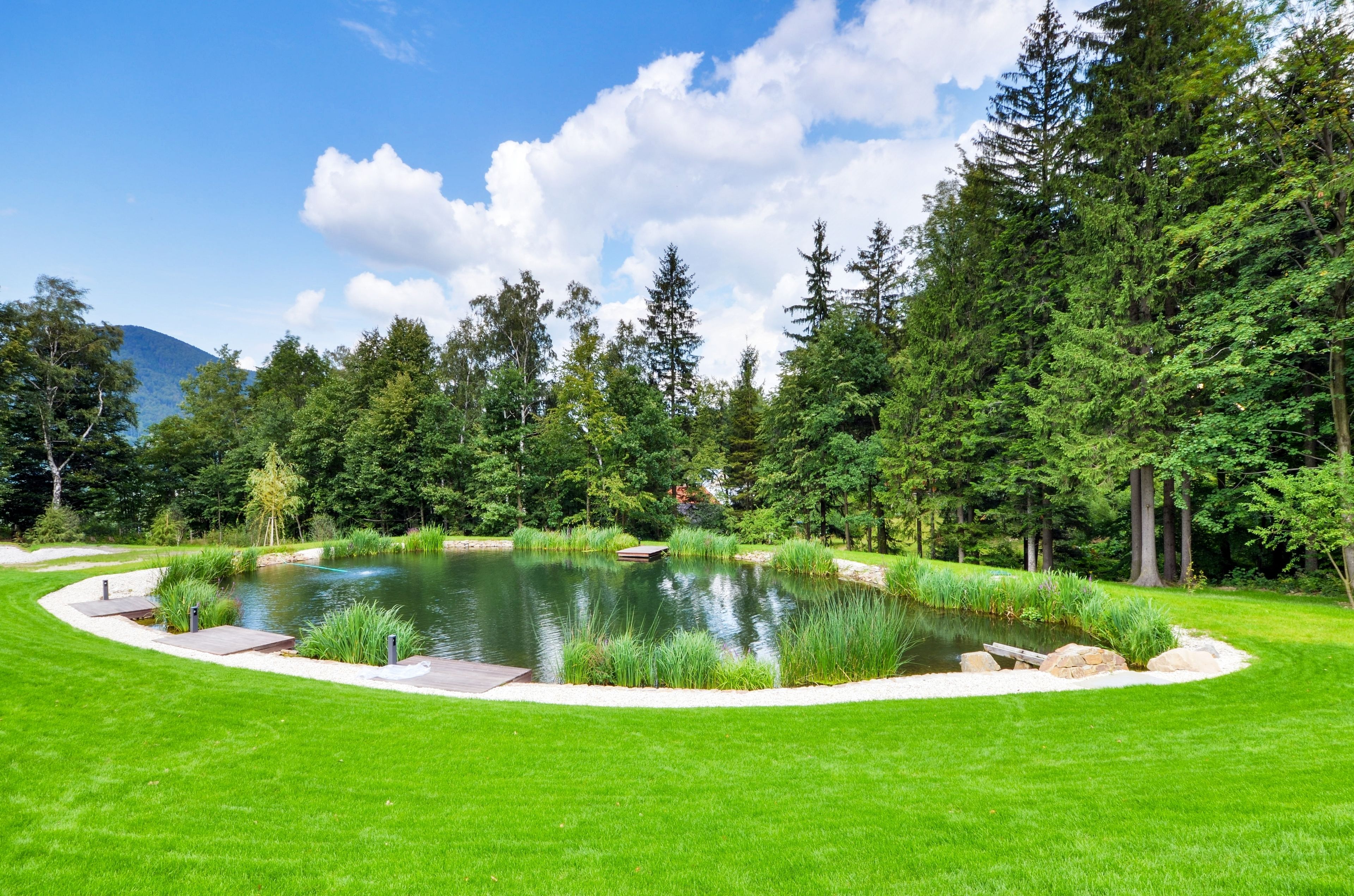 Pemandangan dari properti