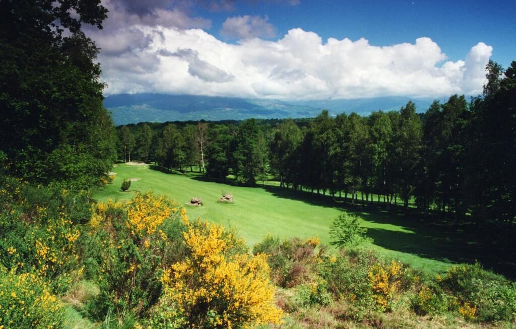 Ein Golfplatz mit gepflegtem Grün, Bäumen und blauem Himmel.