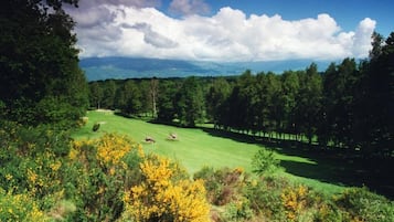Ein Golfplatz mit gepflegtem Grün, Bäumen und blauem Himmel.