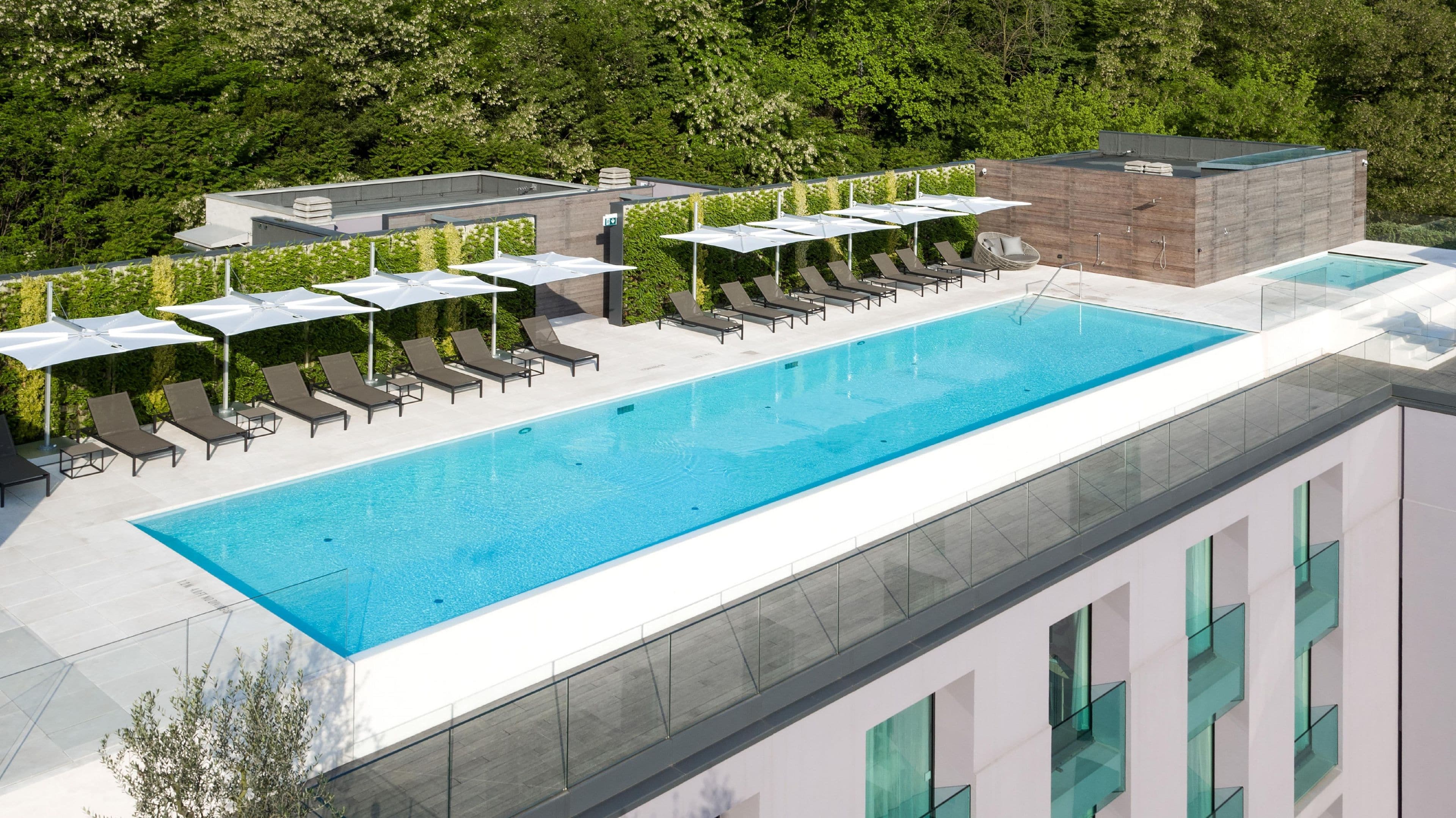 A rooftop swimming pool with sun loungers and umbrellas, surrounded by greenery.