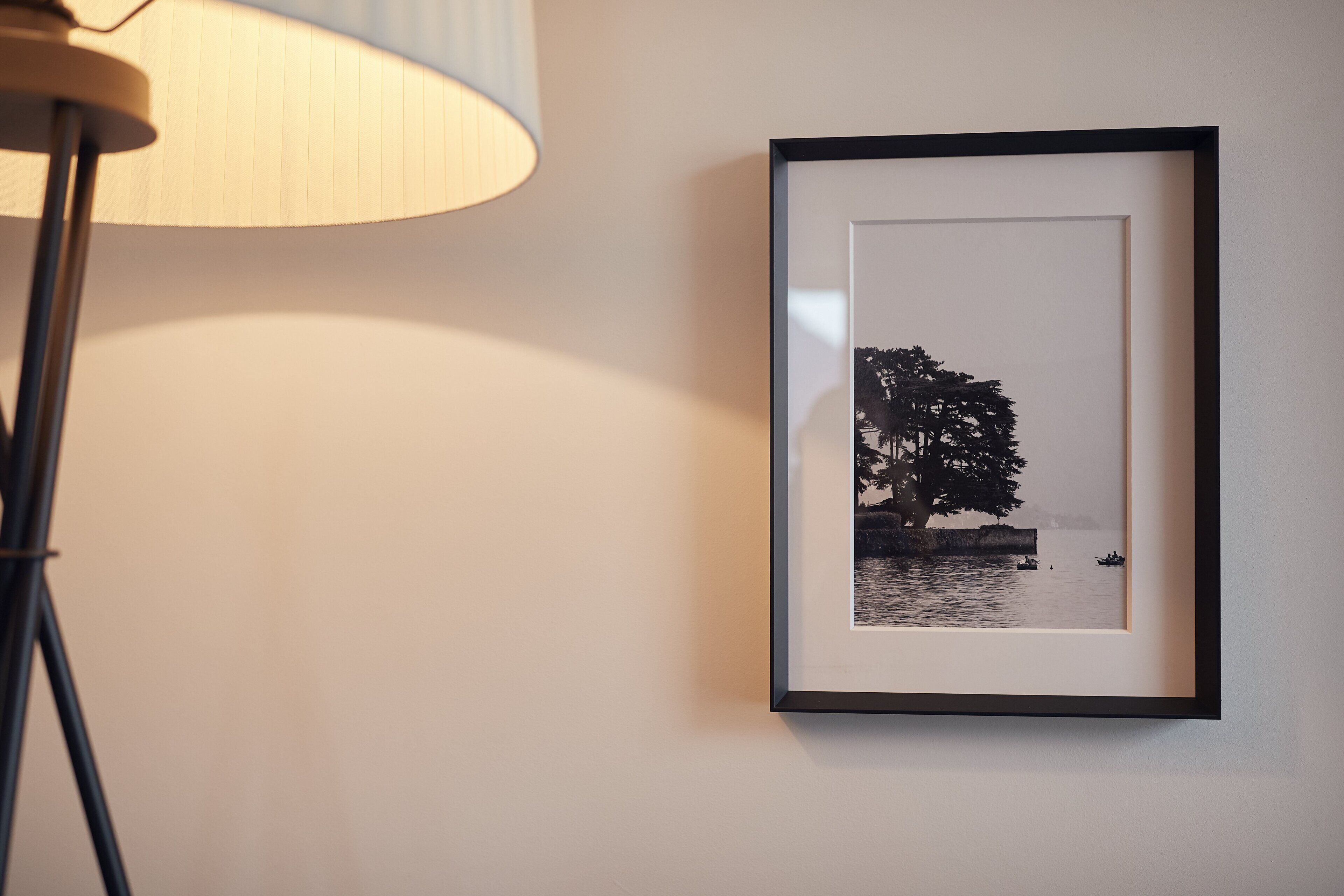 Fotografía en blanco y negro enmarcadas de un árbol junto al agua, colocada en una pared.