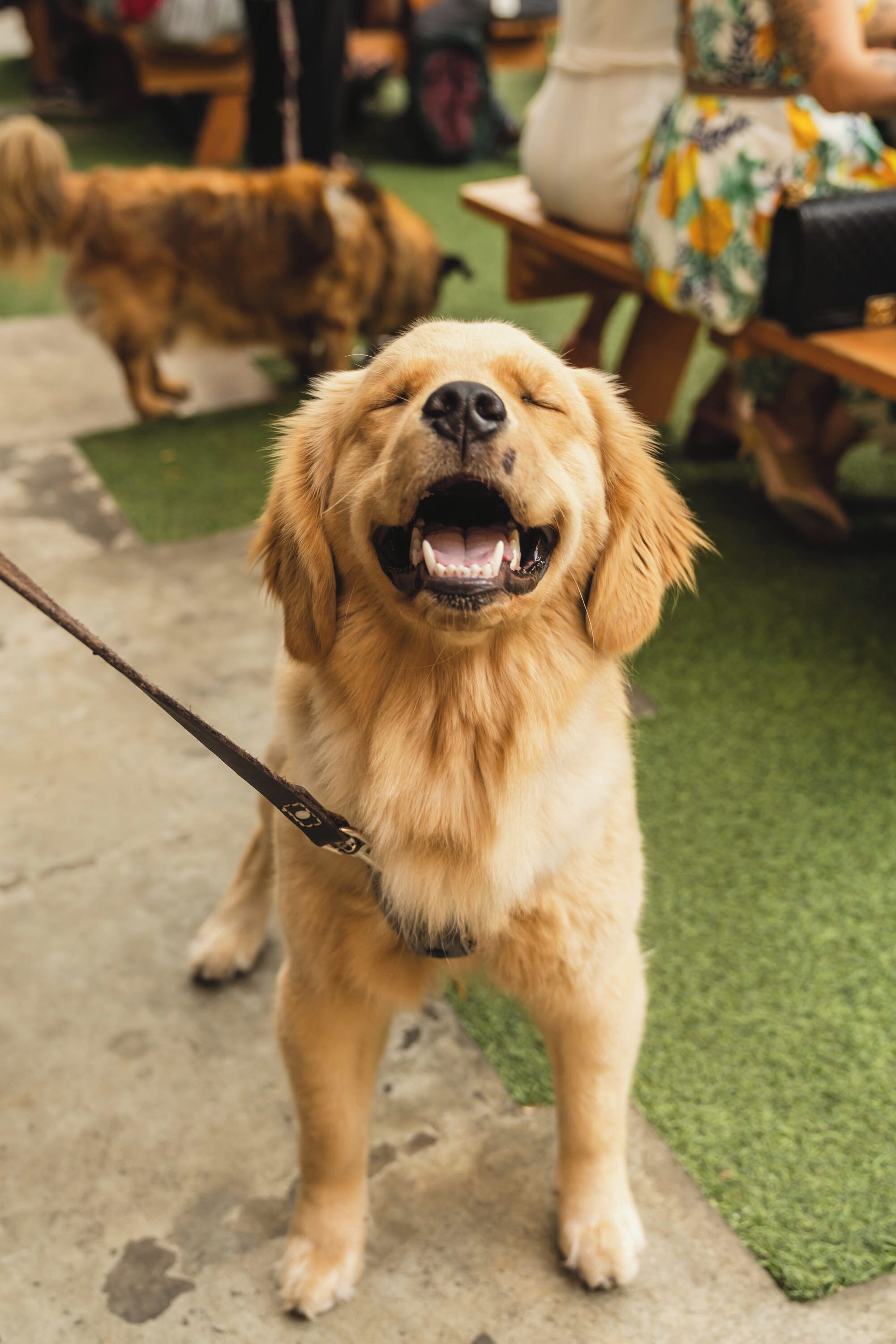 Photo - Aloft Austin Downtown