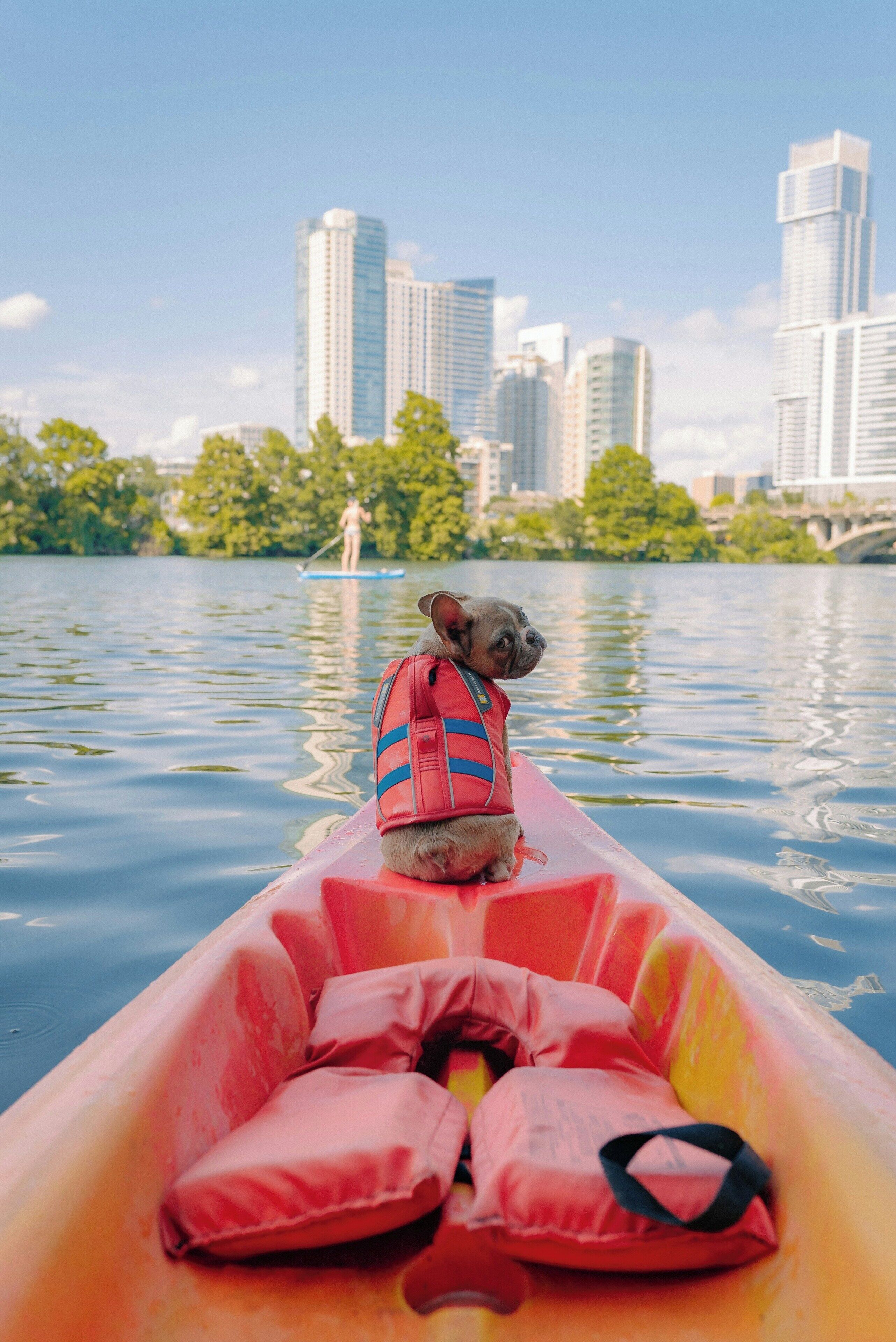 Foto - Element Austin Downtown