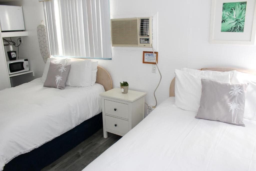 A hotel room with two beds, a bedside table with a plant, a wall-mounted air conditioner, a microwave, and a framed picture on the wall.
