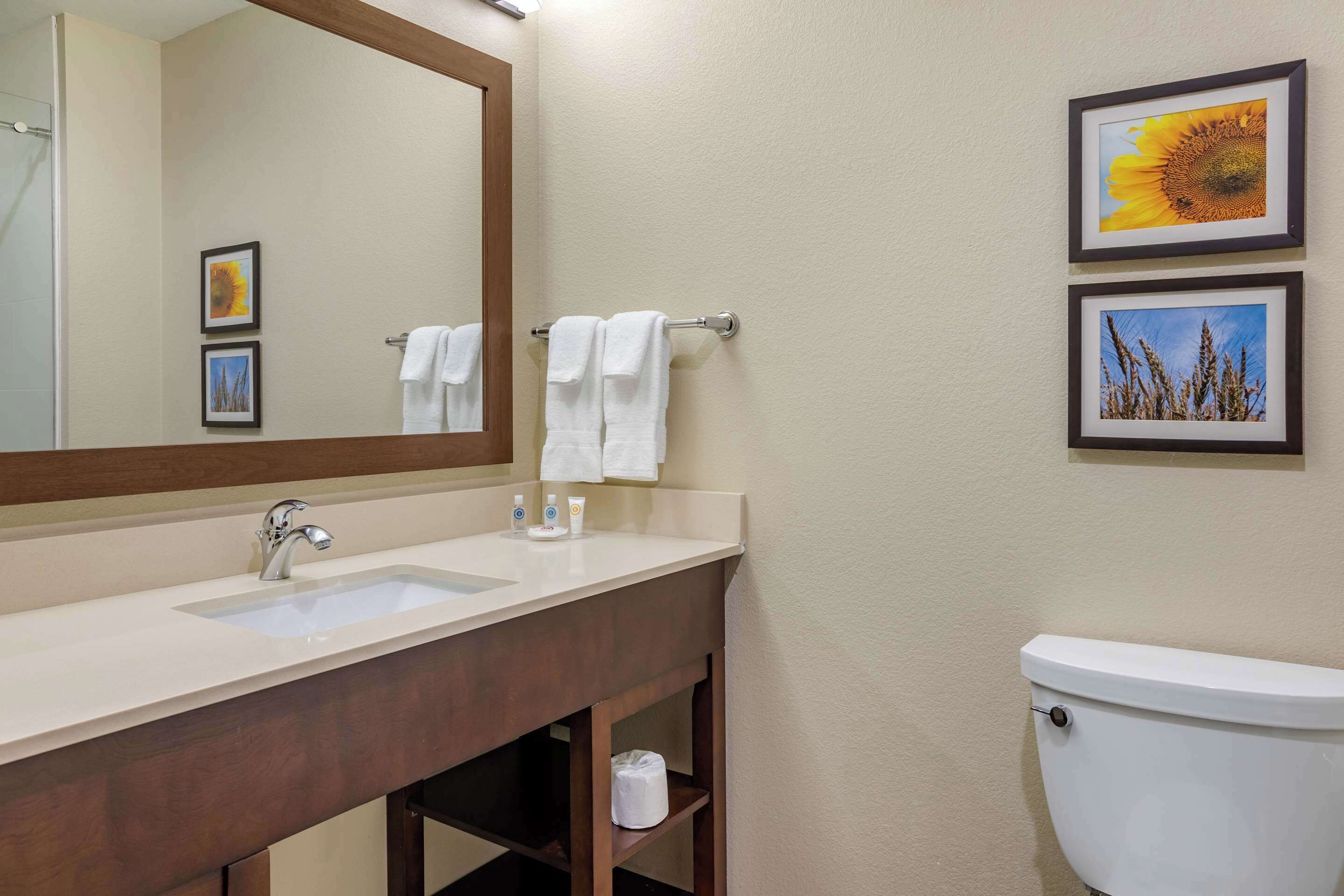 suite, 1 king bed with sofa bed, non smoking | premium bedding, desk, blackout curtains, iron/ironing board