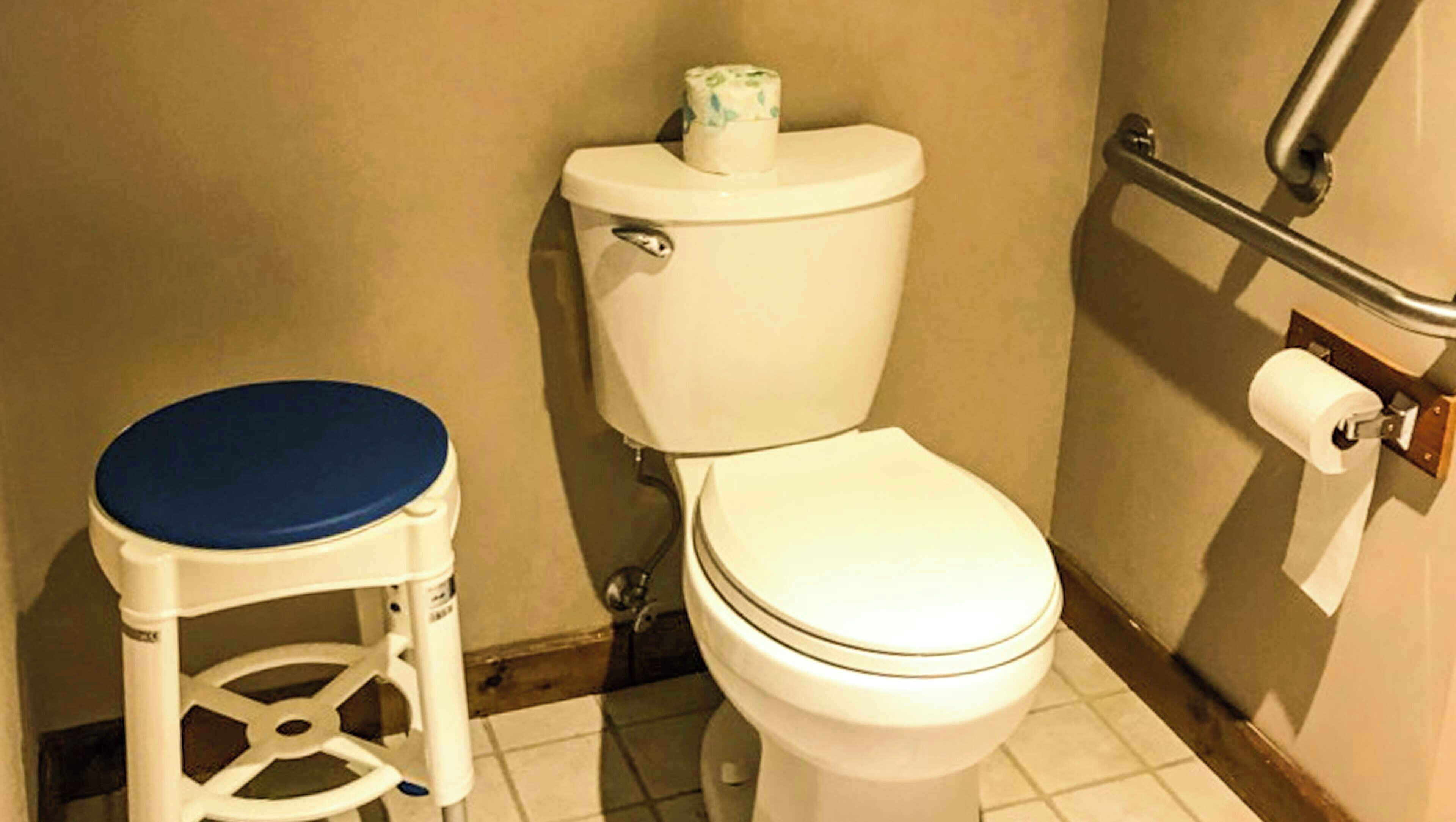 A white toilet with a blue seat and a toilet paper holder on the wall.