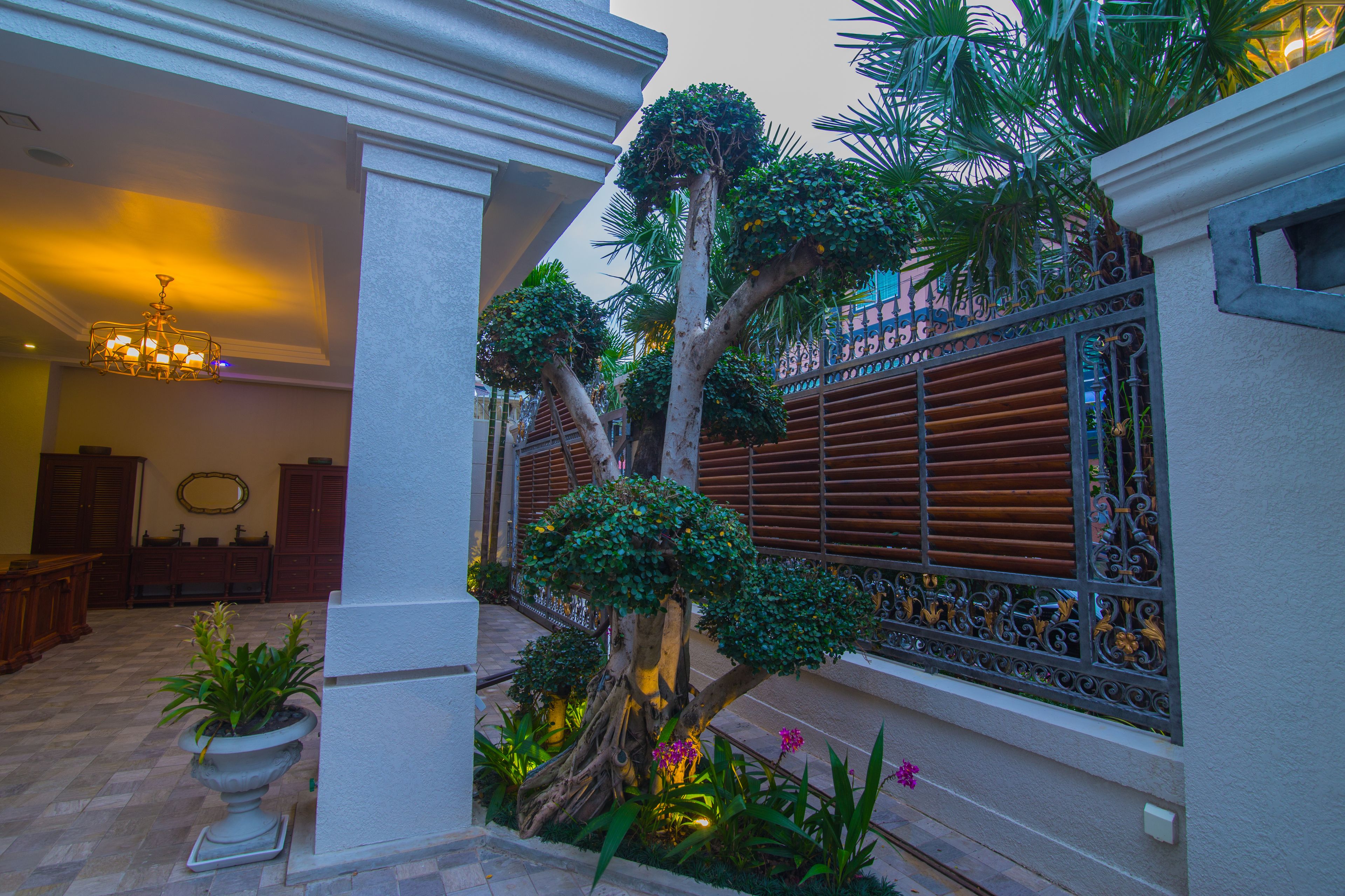 View from property