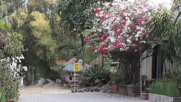 Stroll through the serene garden pathway to a tranquil entrance.
