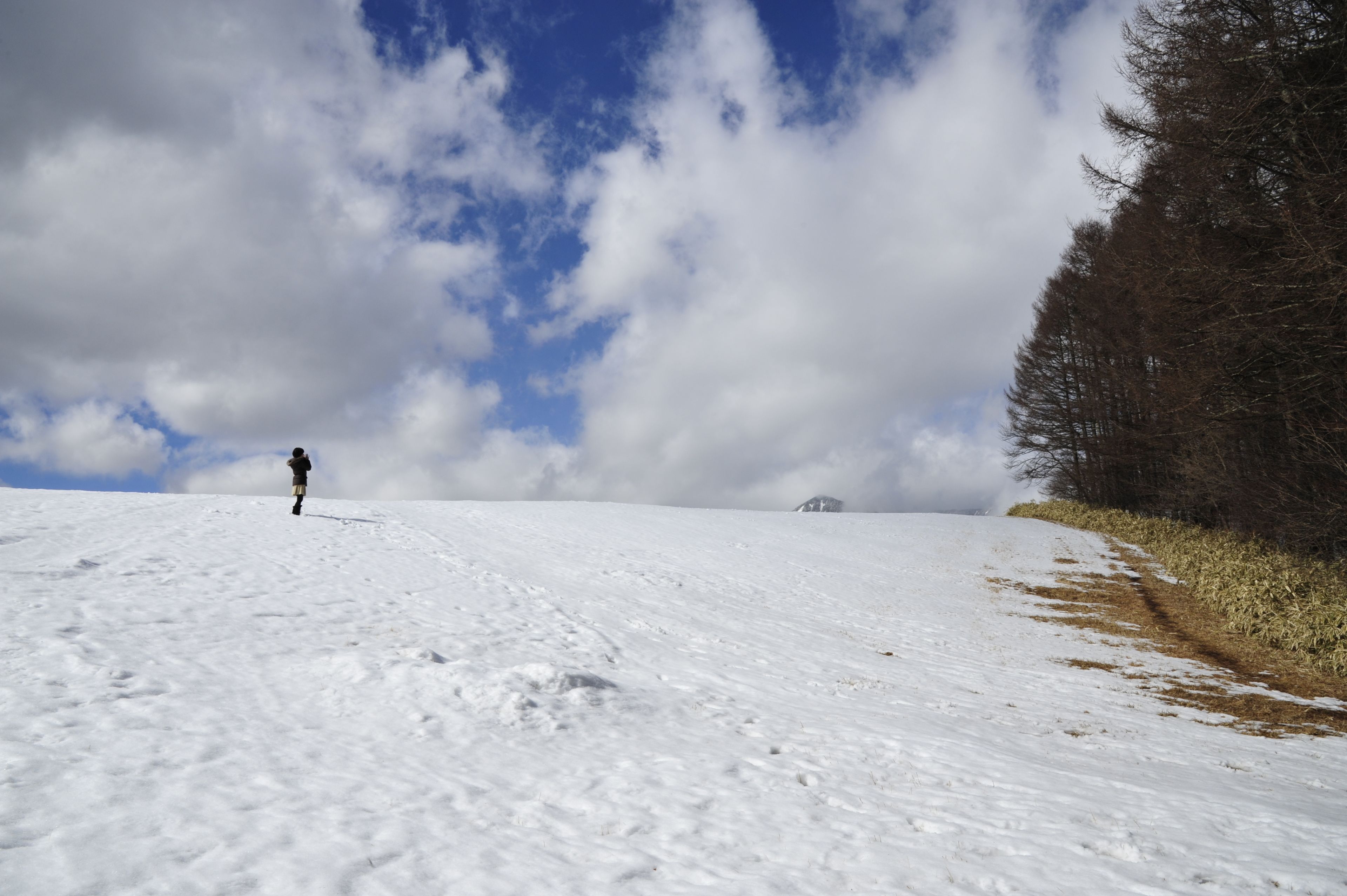 A snow-covered slope with a person walking, a clear sky, and a forested area to the right.