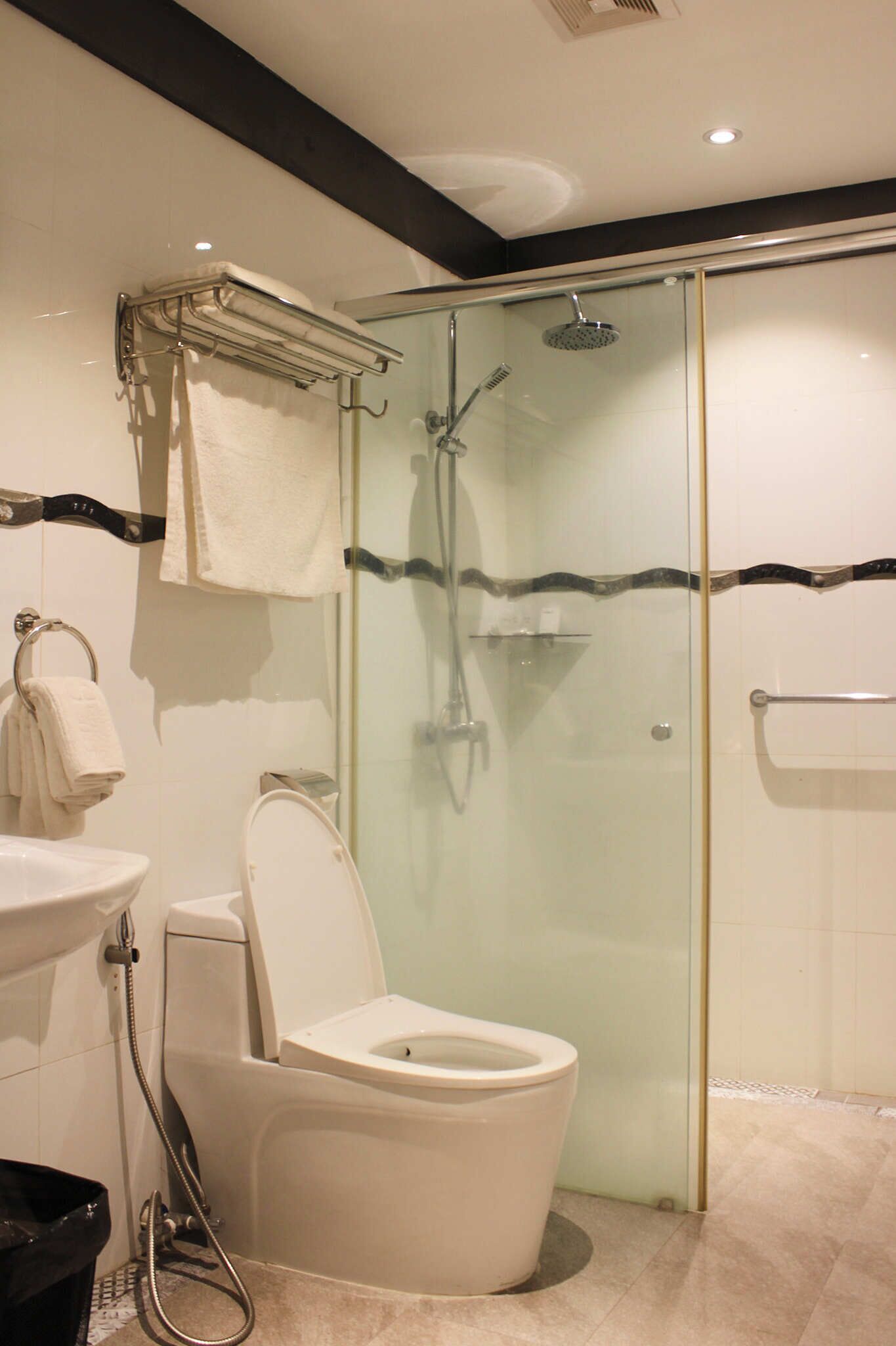 A modern bathroom with a glass-enclosed shower, a toilet, and a sink.