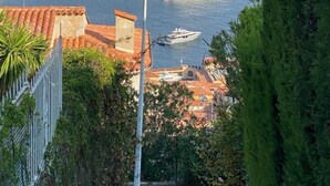 Une vue sur la côte, avec de nombreux bateaux amarrés dans une marina, le tout entouré d’une végétation luxuriante et de bâtiments.