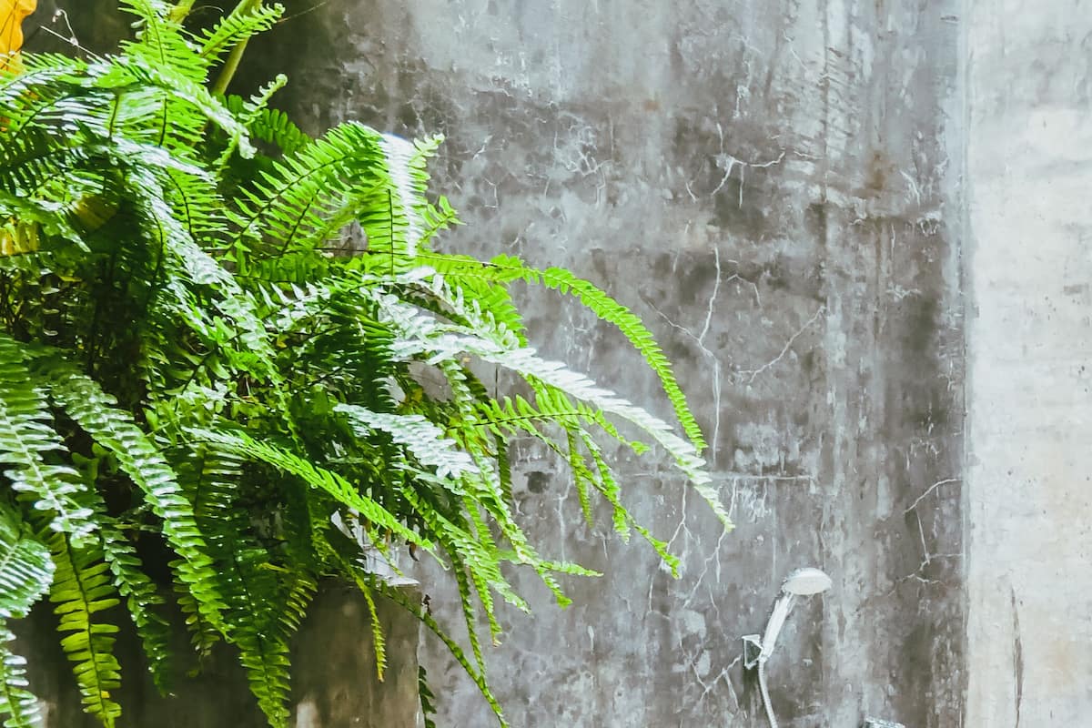 family suite, multiple beds, balcony, pool view | bathroom | combined shower/bathtub, rainfall showerhead, free toiletries, bathrobes