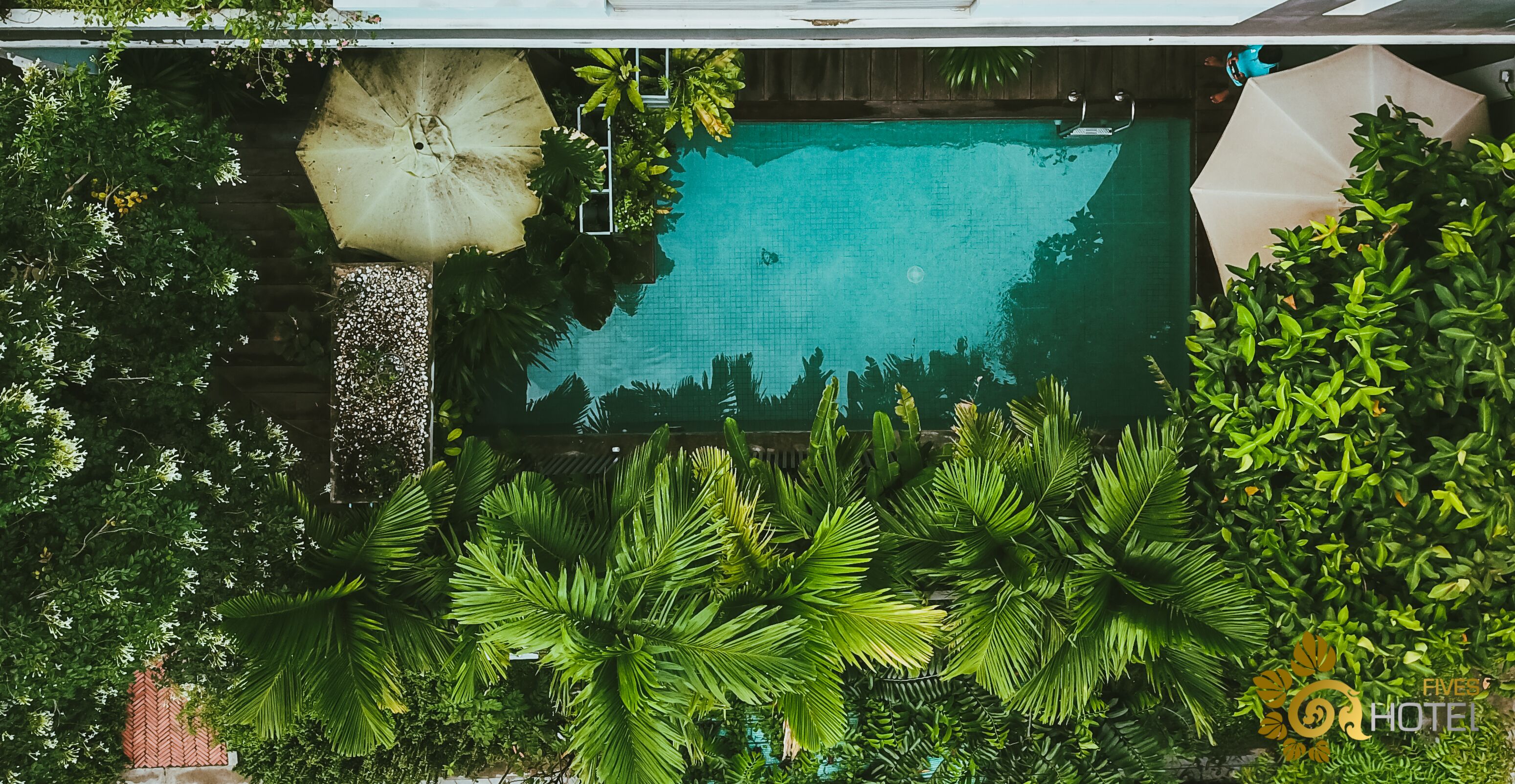 家庭套房, 多张床, 阳台, 泳池景观 | 露台