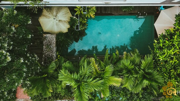 An aerial view of a swimming pool surrounded by lush greenery, including palm trees and various plants. - Hotel Five.S (Kampot)