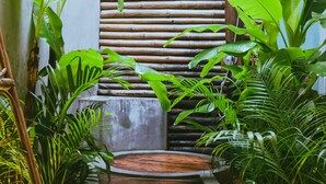 A wooden pathway leading to a room with a bamboo wall and lush green plants. - Hotel Five.S (Kampot)