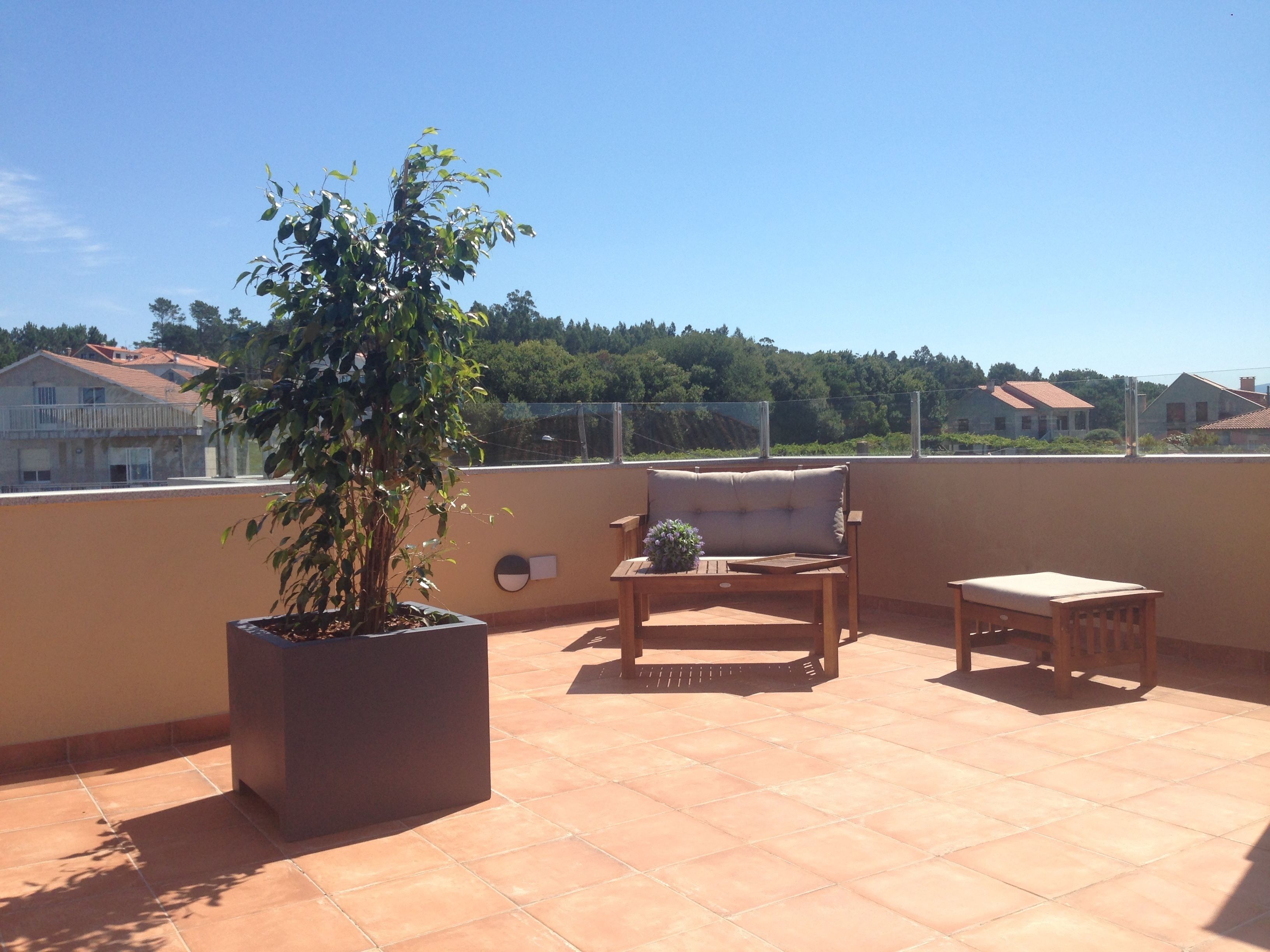 A terrace with a potted plant, a wooden chair, and a small table.