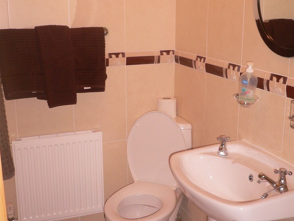 A bathroom with a toilet, sink, and towel rack.