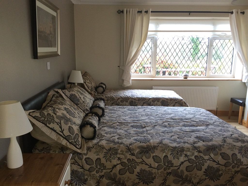 A bedroom with two beds, a bedside table with a lamp, a window with curtains, and a radiator.