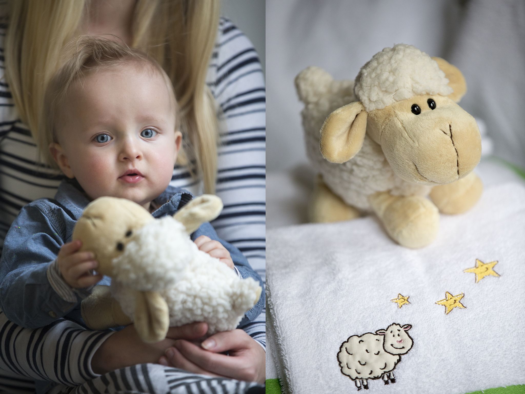 Een kind houdt een pluche schaap speeltje vast.