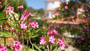 Un edificio con fachada blanca y tejado de tejas rojas, rodeado de flores rosadas y follaje verde.