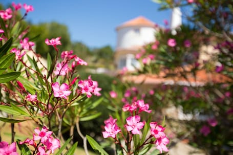 Garden. Quinta do Cabo Guesthouse