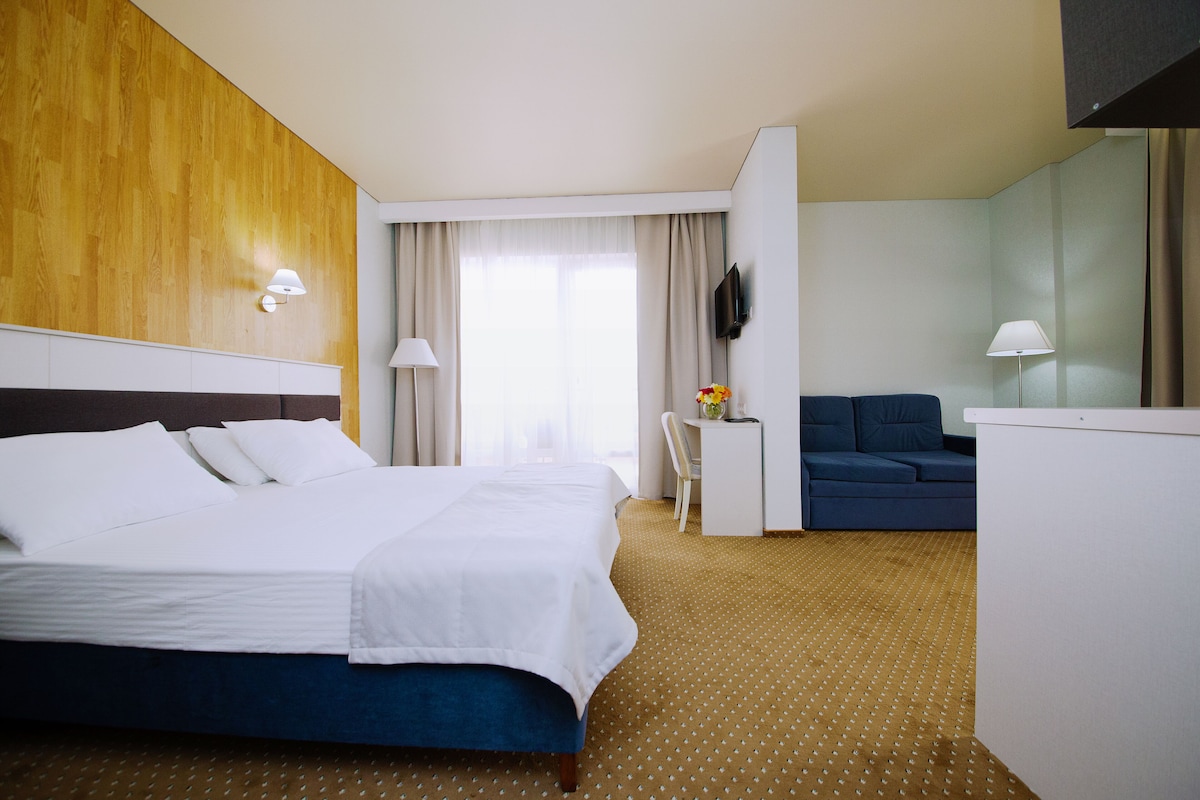 A hotel room with a bed, a desk, a chair, a TV, and a sofa.